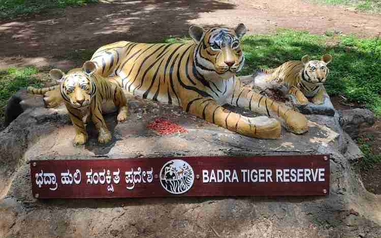 Bhadra Wildlife Sanctuary Chikmagalur