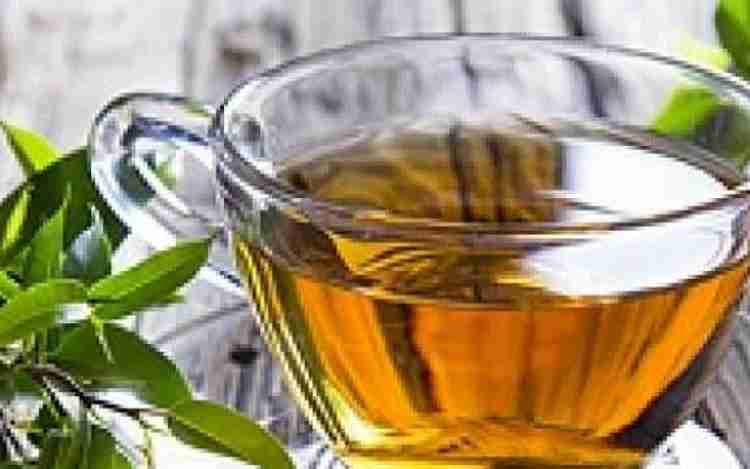 5 things that happen when you drink curry leaf tea daily