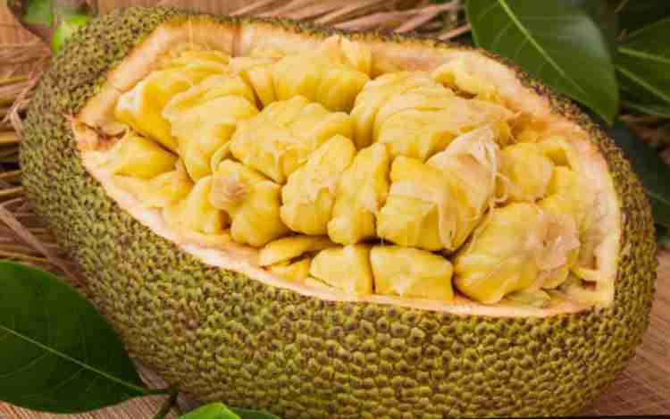 Jackfruit dishes