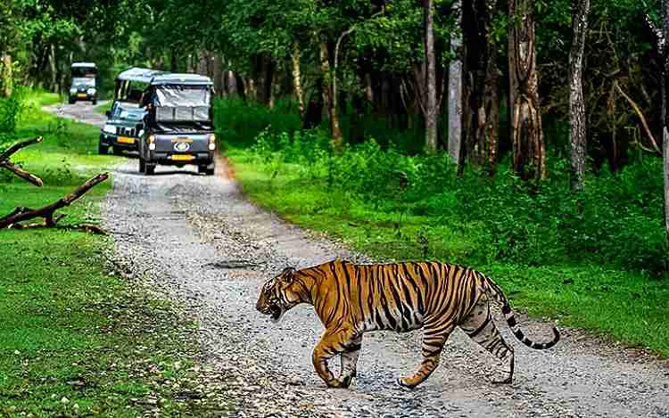 Kabini Karnataka