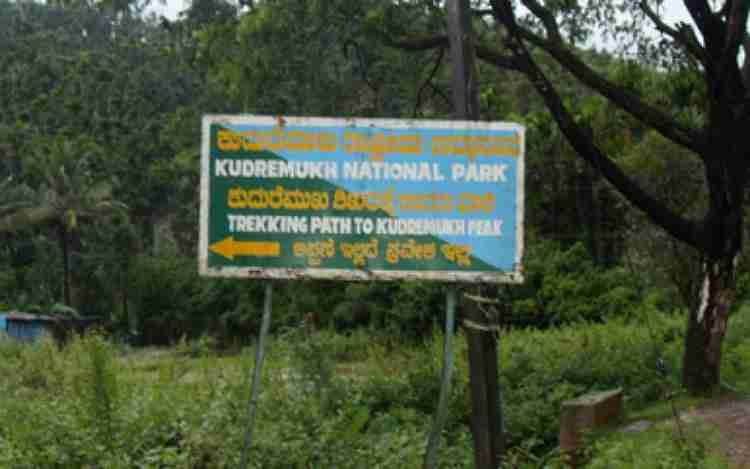 Kudremukh National Park