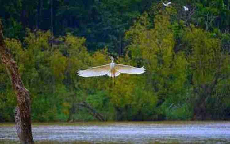 Mandagadde Bird Sanctuary